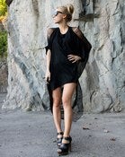 Image of RAVEN