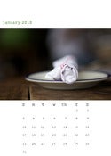 Image of 2010 calendar 