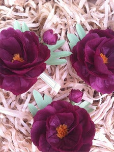 Image of Peony 