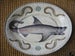 Image of Shark