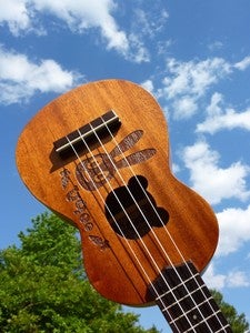 Image of aNue Nue Rabbit & Bear U900 Sopranos