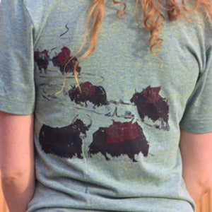 Image of The Yak's Trail (Green V-Neck)