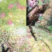 Image of Awakening Blossoms Handmade Giclee Art Print