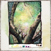Image of Original Art Drawing: Awakening Cherry Blossoms