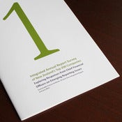 Image of Integrated Annual Report Survey of New Zealand's Top 200 Companies