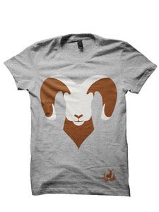 Image of Big Horn Sheep (T)