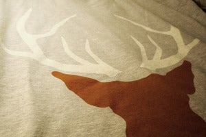Image of White Tailed Deer (T)