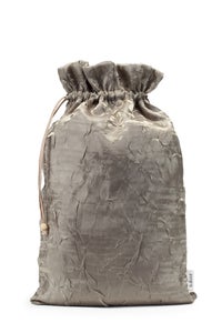 Image of Gold Dust Shoe Bag