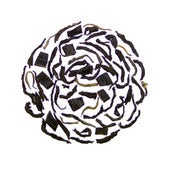 Image of Vanilla Black