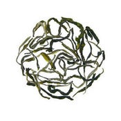 Image of Ancient Emerald Lily