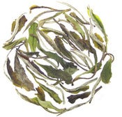 Image of White Peony, Organic