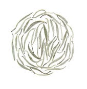 Image of Silver Needle, Organic