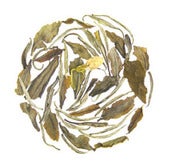 Image of White Peach Blossom