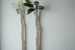 Image of WALL BRANCH