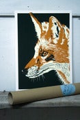 Image of Fox
