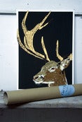 Image of Stag