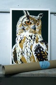 Image of Owl **Only 3 A3 left**