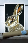 Image of Hare