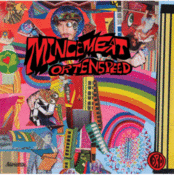 Image of Mincemeat Or Tenspeed / Drums Like Machine Guns split 12"