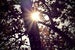 Image of Retro Spring