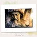 Image of Original Art: Hand Colored Angel Photo