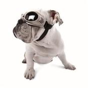Image of Doggles Originalz on UncommonPaws.com