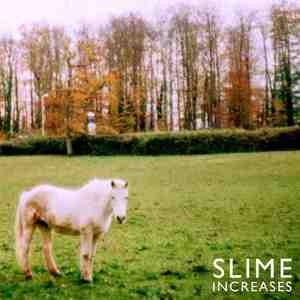 Image of TLV046 - Slime - Increases - 5 copies left