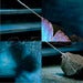 Image of Original Art: Awake Butterfly