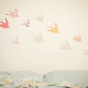 Image of Swallows
