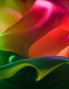 Image of Pink in a Sea of Green Abstract Photograph