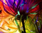 Image of Electric Flower Photograph
