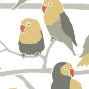 Image of lovebirds sample