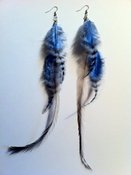 Image of Emu & Grizzly Feather Earrings - Blue & Gray