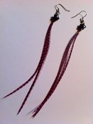 Image of Shooting Star Earrings