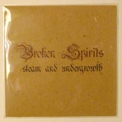 Image of broken spirits - steam and undergrowth [cdr]