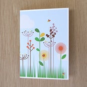 Image of Meadow