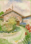 Image of Paloma the Cat, France