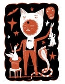 Image of Magic Cat