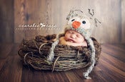 Image of Barn owl hat