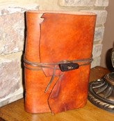 Image of The Traveler