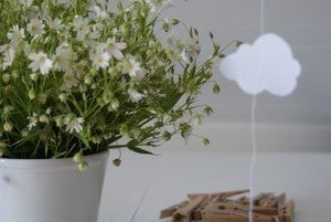 Image of les petits nuages