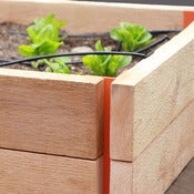 Image of Raised Planter