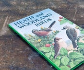 Image of Ladybird "Heath and Woodland Birds" {SOLD}