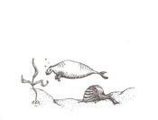 Image of Land & Sea