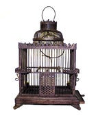 Image of Birdcage