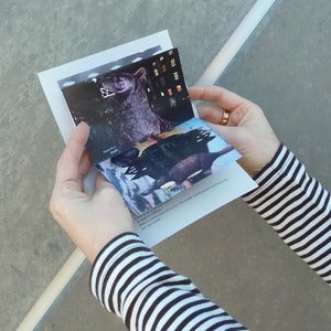 Image of Zine - Looking and almost never finding