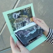 Image of Zine - It was quite a wilderness