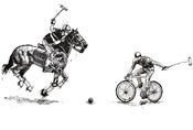 Image of Polo Fight