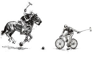 Image of Polo Fight