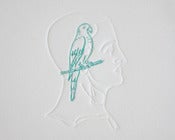 Image of Bird Brain